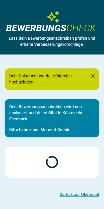 Bewerbungs-Check